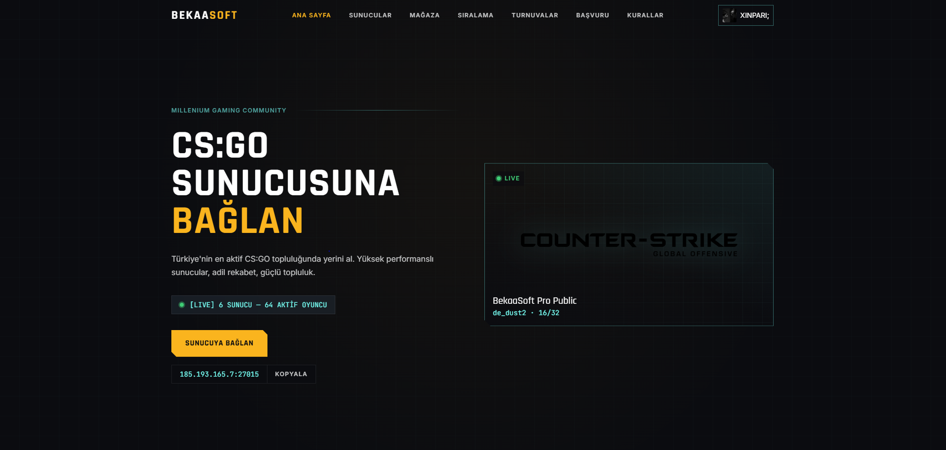 BekaaSoft CS2/CS:GO desktop screenshot